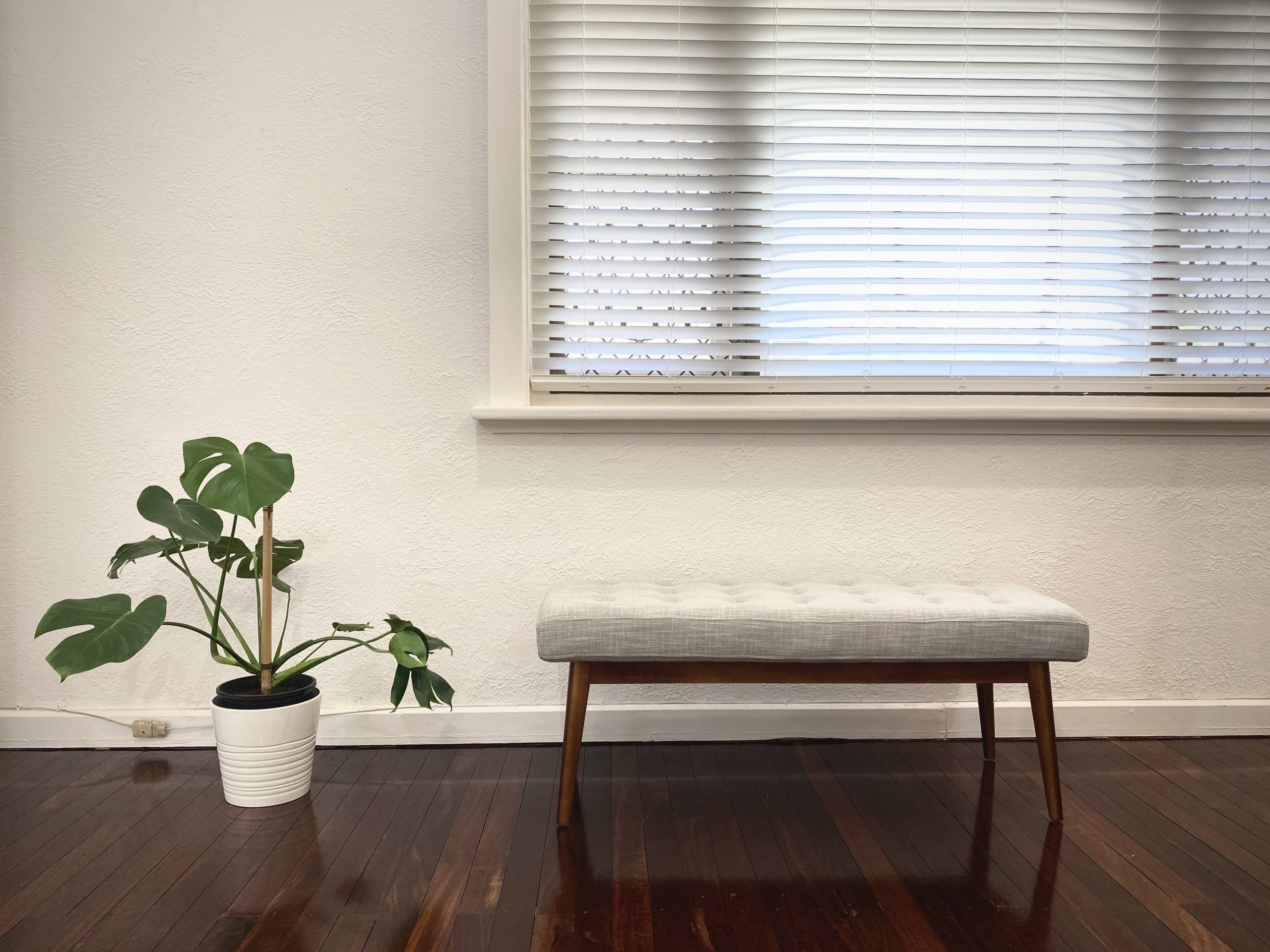 Our Monstera and West Elm bench